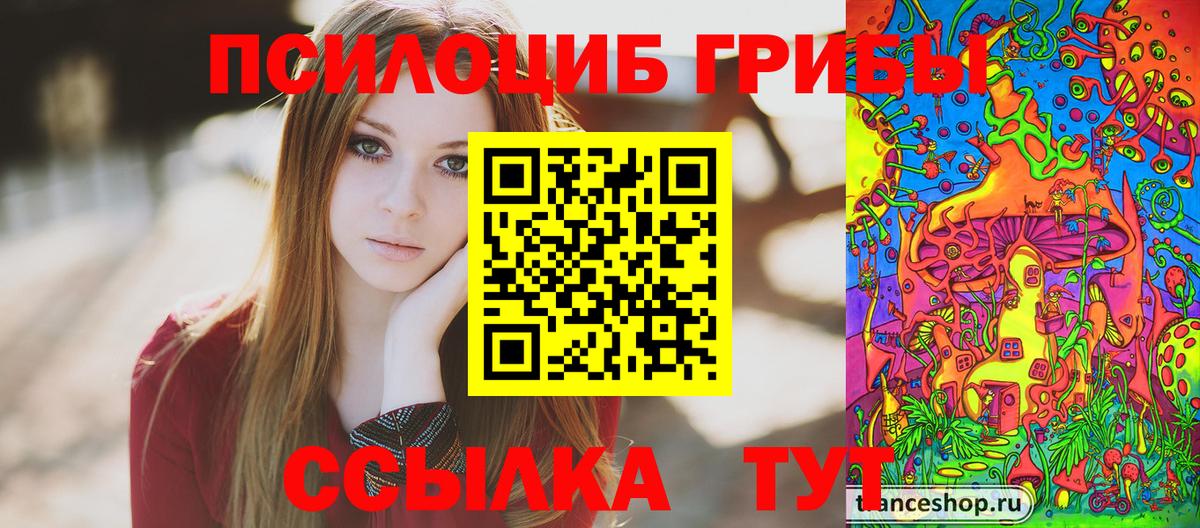 Качканар  Псилоцибиновые грибы GOLDEN TEACHER  Псилоцибиновые грибы Psilocybe  Вход с VPN 