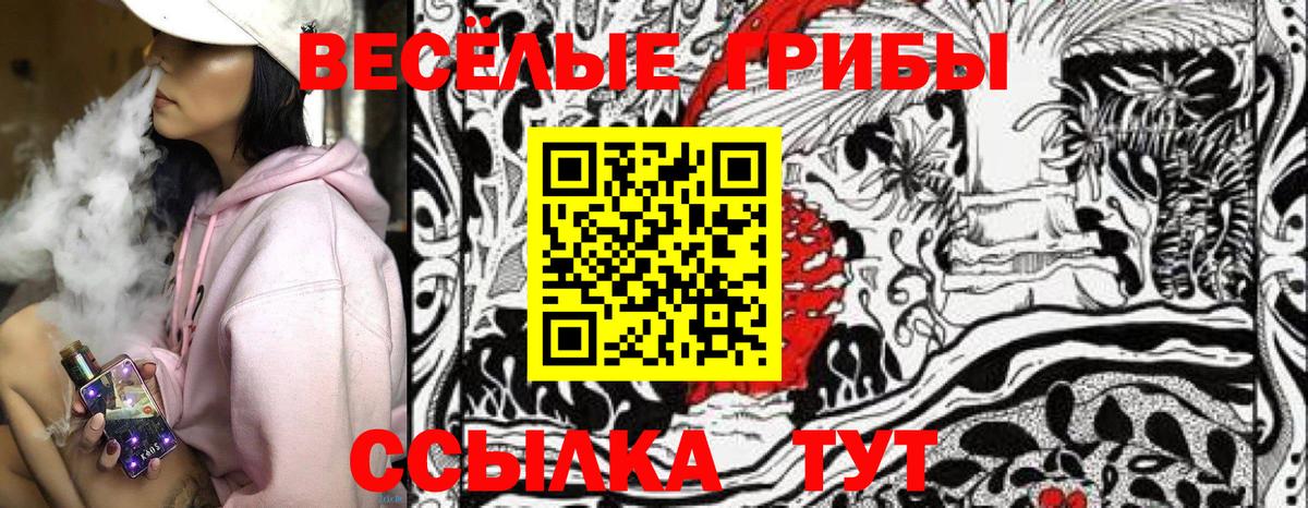 Псилоцибиновые грибы прущие грибы Качканар